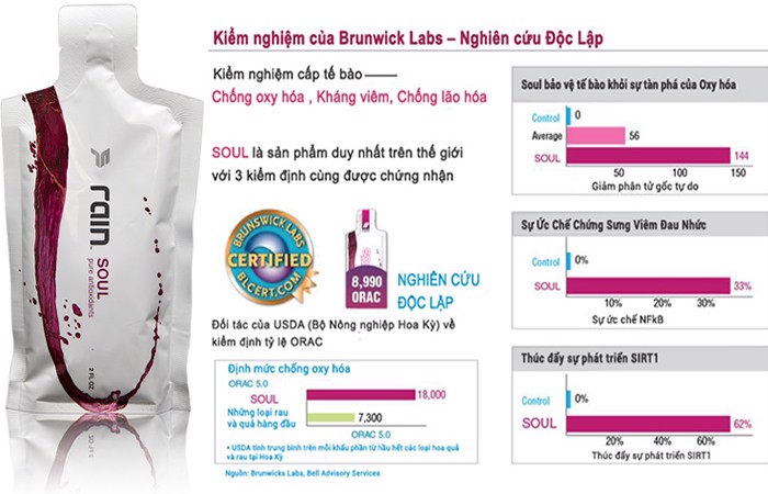 Rain Soul Mang Tới Cho Bạn Nguồn Dinh Dưỡng Dồi Dào Từ HẠT