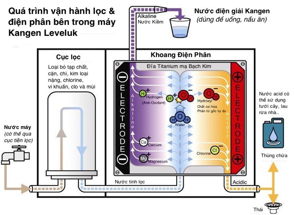- leveluk-kangen-k8