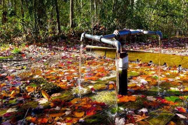 Vòi nước khoáng tự nhiên