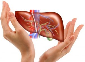 Loại bỏ độc tố cho gan bằng cách nào?