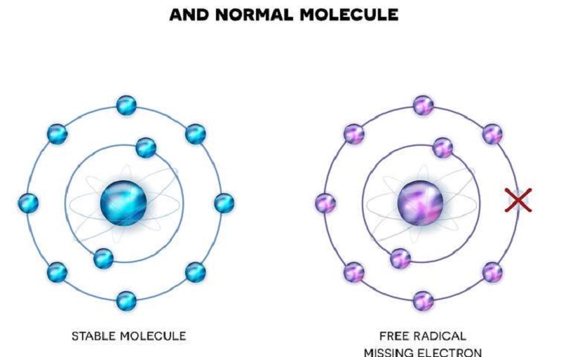 Gốc tự do là những phân tử hoặc nguyên tử đã bị mất đi một electron ở phía ngoài cùng Gốc tự do là gì, Gốc tự do là gì? Cần làm gì để ngăn chặn gốc tự do?, Nhà phân phối máy lọc nước ion kiềm số 1 Việt Nam | Vitamia