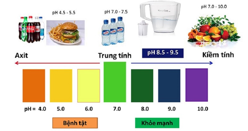 Môi trường cơ thể là môi trường kiềm