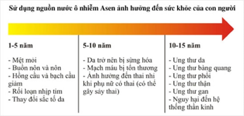 Những nguy cơ gặp phải khi nhiễm Asen Những nguy cơ gặp phải khi nhiễm Asen