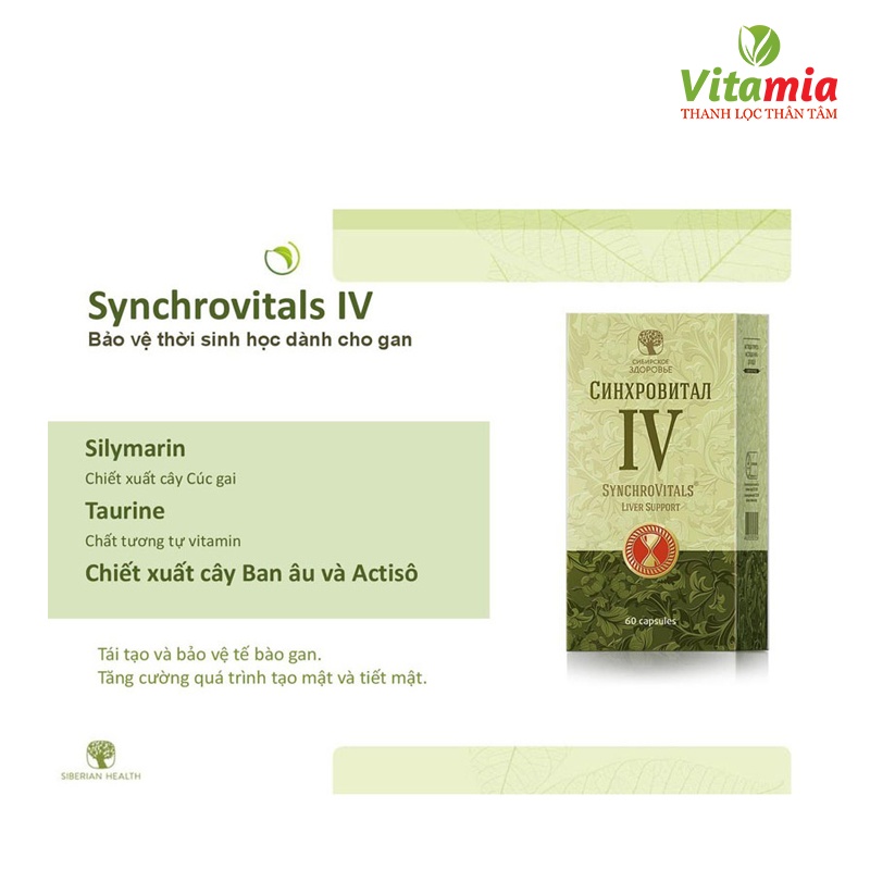 Synchrovitals IV – Tăng cường chức năng và chăm sóc lá gan khỏe mạnh