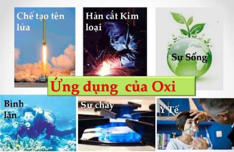 Vai trò quan trọng của oxy và quá trình oxy hóa Vai trò quan trọng của oxy và quá trình oxy hóa