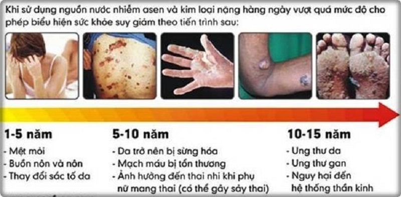 Tổn thương nội tạng và hệ thần kinh Tổn thương nội tạng và hệ thần kinh