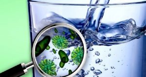 Vi sinh vật cho phép trong nguồn nước