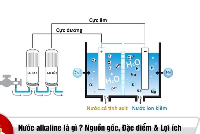 Nguồn gốc xuất xứ của Alkaline Nguồn gốc xuất xứ của Alkaline