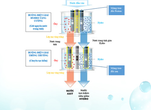 Công nghệ điện giải kép của máy lọc nước trim ion