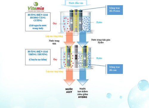 Công nghệ điện giải kép của máy lọc nước trim ion