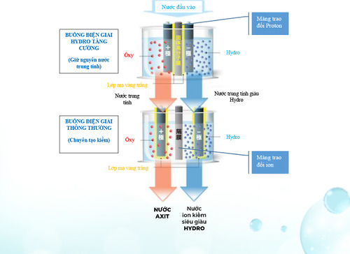 Công nghệ điện giải kép của máy lọc nước trimion