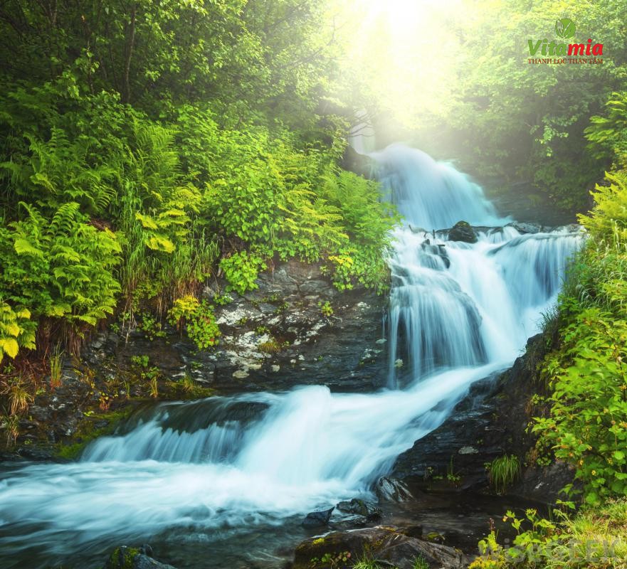 Nước suối là gì? Nước suối có tốt không