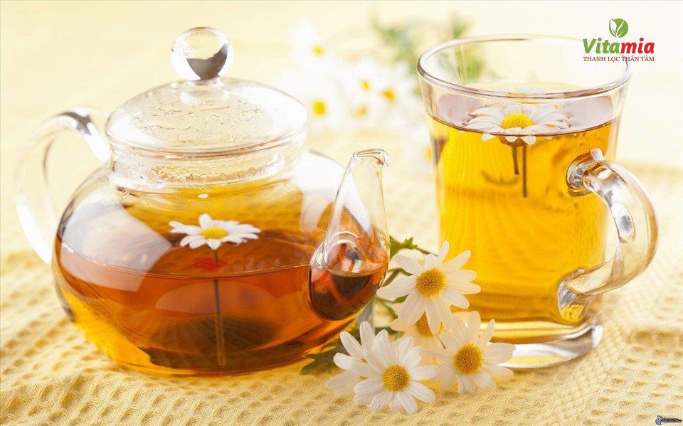 Trà hoa cúc là gì
