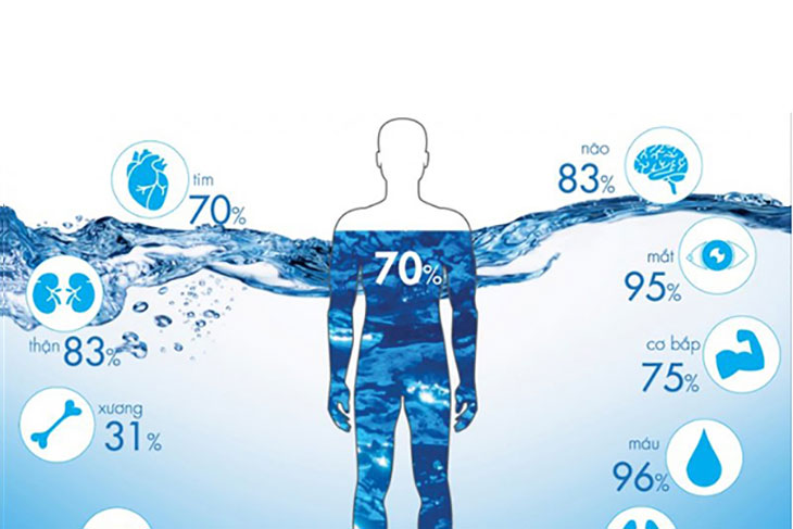 Nước đóng vai trò vô cùng quan trọng đối với cơ thể