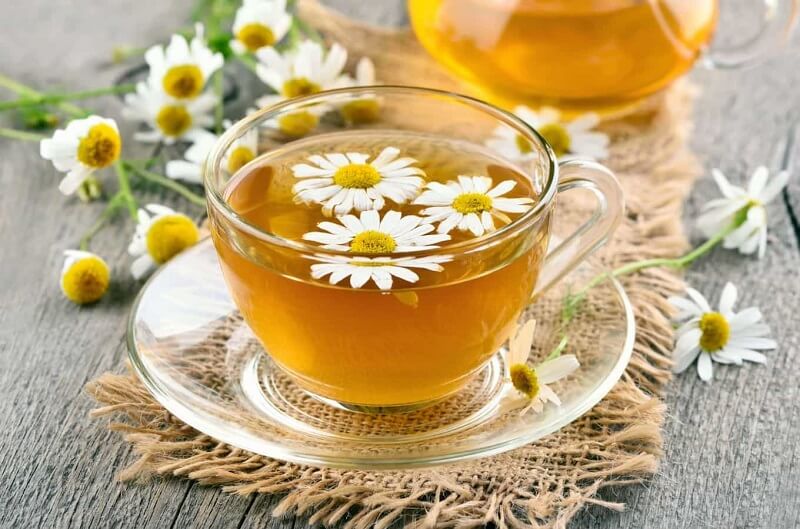 Uống trà hoa cúc sau khi vận động giúp giảm đau cơ