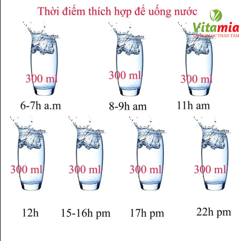 Lựa chọn thời điểm uống nước thích hợp với sức khỏe