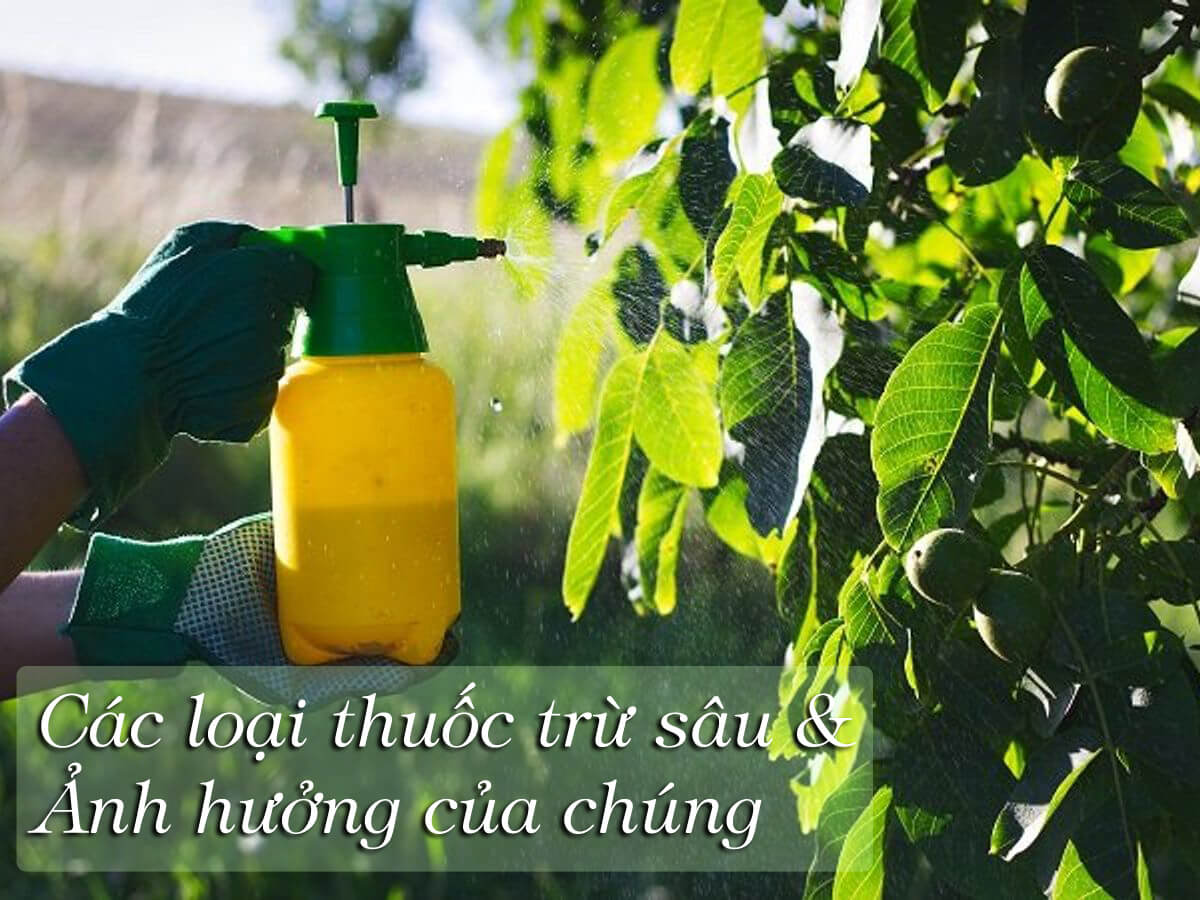 cac-loai-thuoc-tru-sau-va-anh-huong