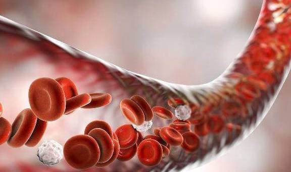 Sự ô nhiễm trong cơ thể